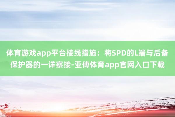 体育游戏app平台接线措施：将SPD的L端与后备保护器的一详察接-亚傅体育app官网入口下载