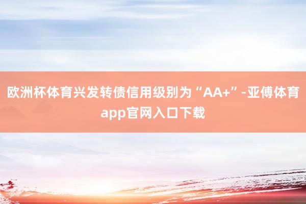 欧洲杯体育兴发转债信用级别为“AA+”-亚傅体育app官网入口下载