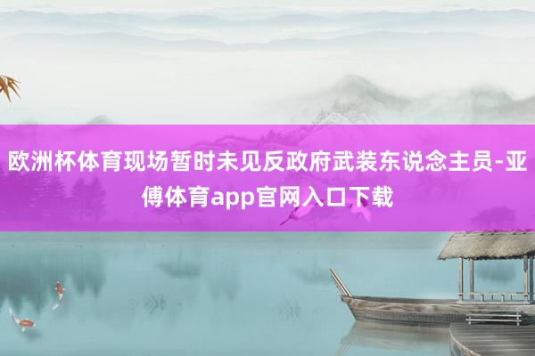 欧洲杯体育现场暂时未见反政府武装东说念主员-亚傅体育app官网入口下载